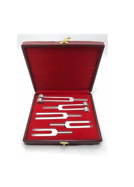 5'li Diapozon Set, Frekans 128, 256, 512, 1024 Ve 2048 (diyapozon Set)