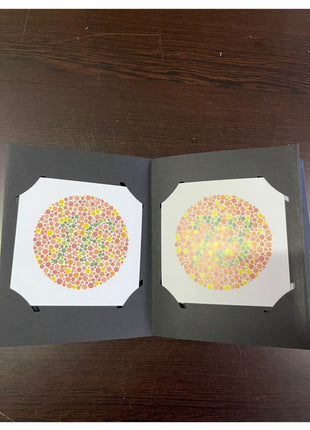 Renk Körlüğü Kitabı