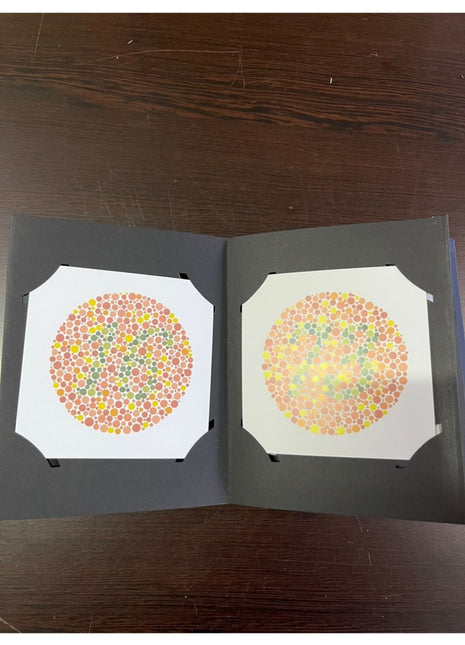 Renk Körlüğü Kitabı