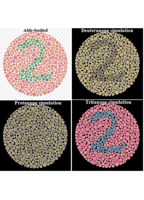 Renk Körlüğü Kitabı (atlası)