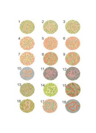 Renk Körlüğü Test Skalası