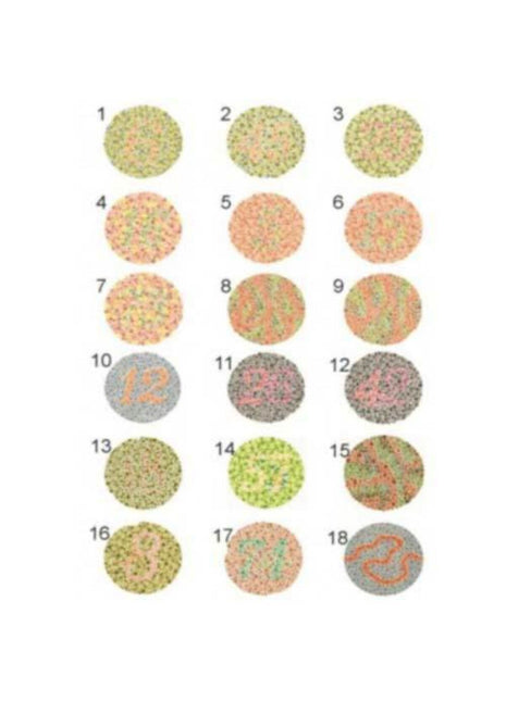 Renk Körlüğü Test Skalası