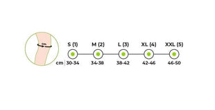REF 822 Patella Destekli Dizlik SMALL