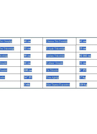 Rolid 100 Tekerlekli Sandalye