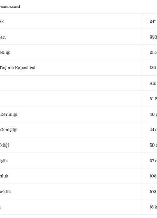 Poylin P617 Banyo Tuvalet Sandalyesi