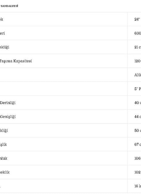 Poylin P617 Banyo Tuvalet Sandalyesi