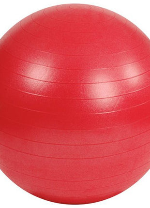 Gym Ball Pilates Topu 65 Cm