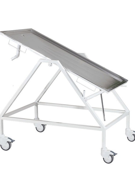 Veteriner Muayene Masası Tekerlekli