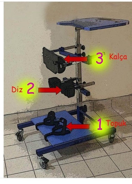 Dik Konumlandırma Cihazı Yetişkin KULLANICI BOYU 160-180 CM