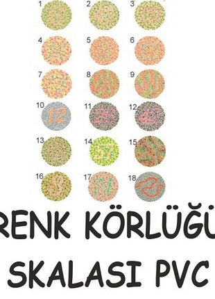 Renk Körlüğü Skalası