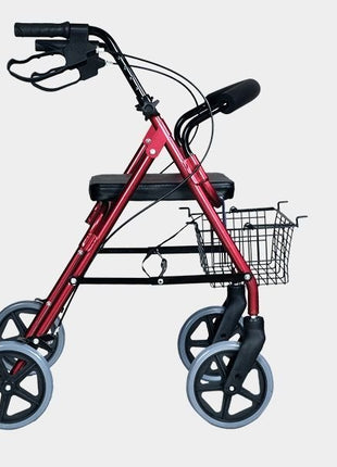 Leo 347R Oturmalı Rollator Ayak Pedalli